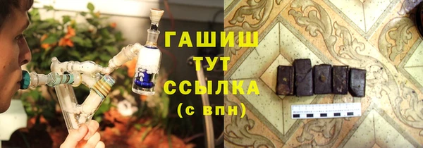 гашик Алексеевка