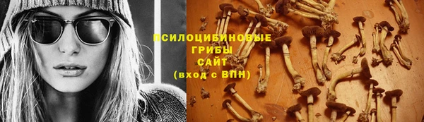 гашик Алексеевка
