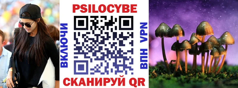 Псилоцибиновые грибы мицелий Билибино
